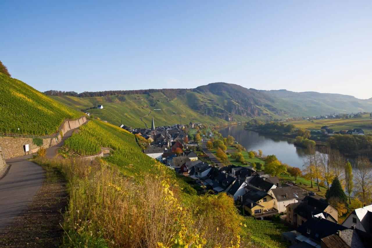 Gaestehaus C.h.berres Uerzig-mosel Feriehus